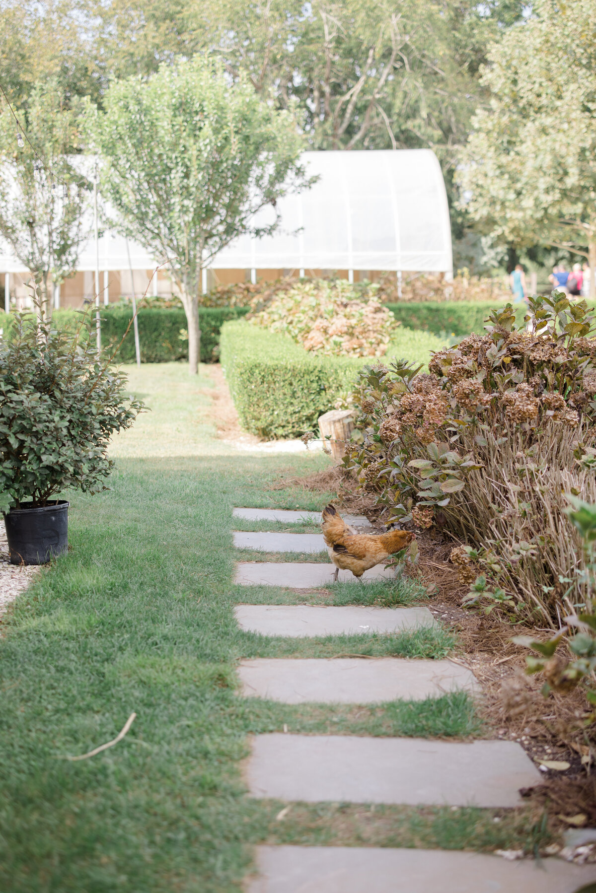 Evelyn+Ross-679