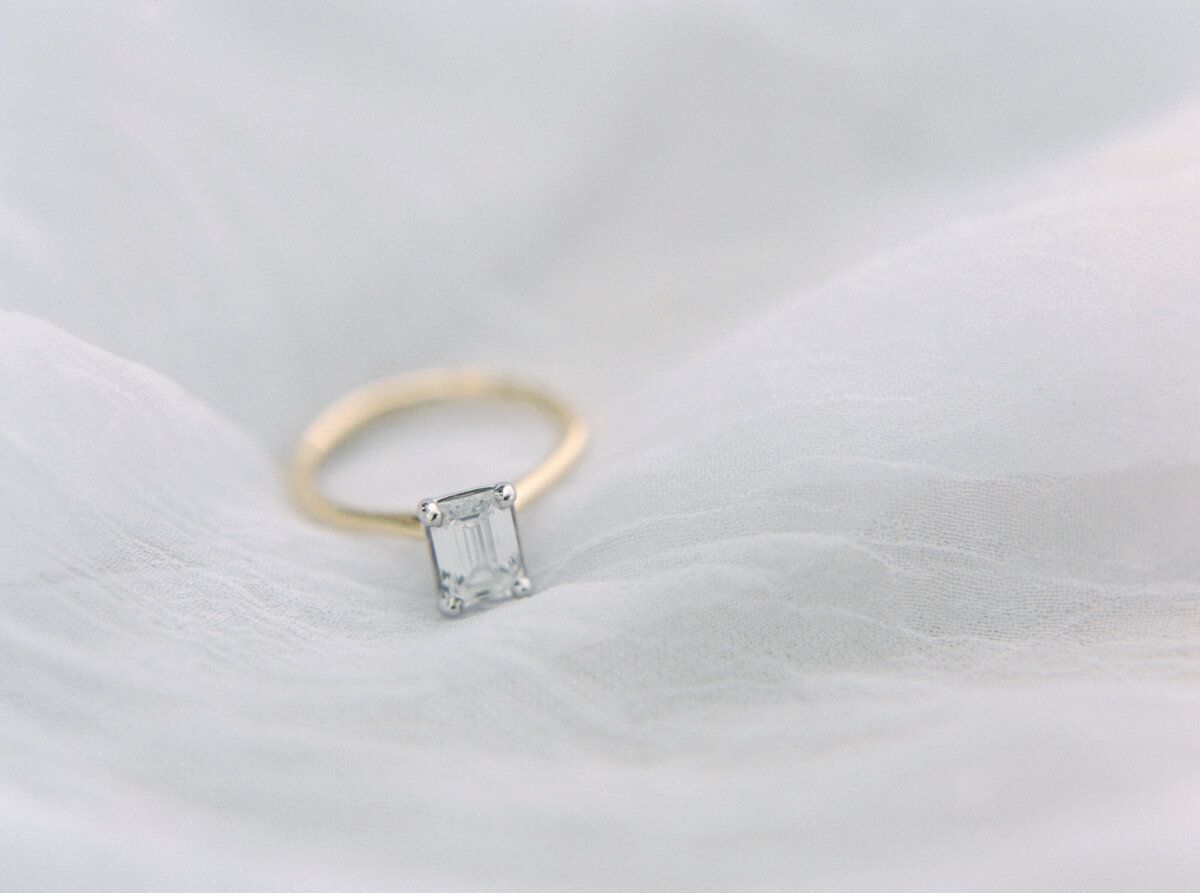 haute-stock-styled-stock-photo-subscription-love-in-bloom-final-19