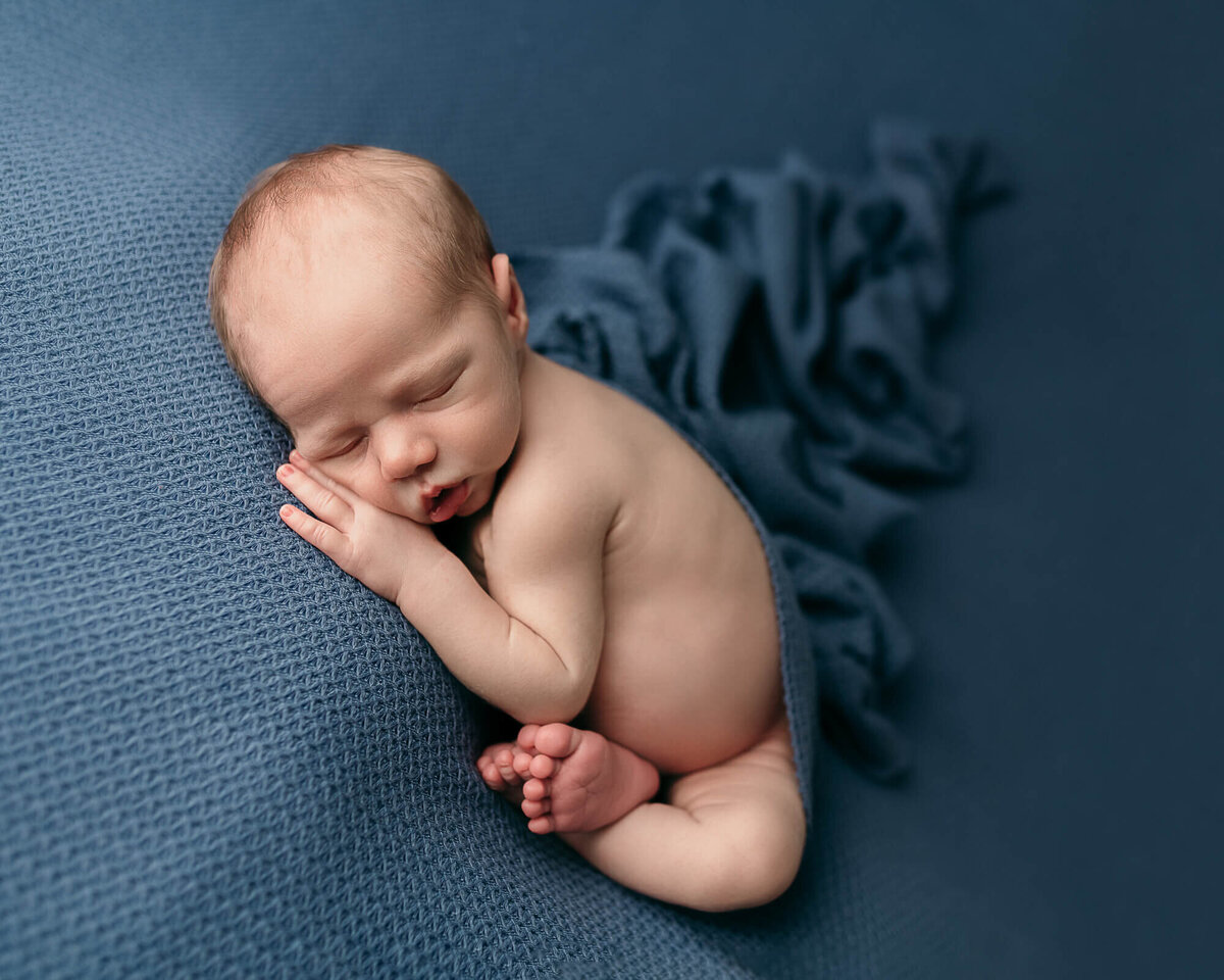 newborn pictures  on blue