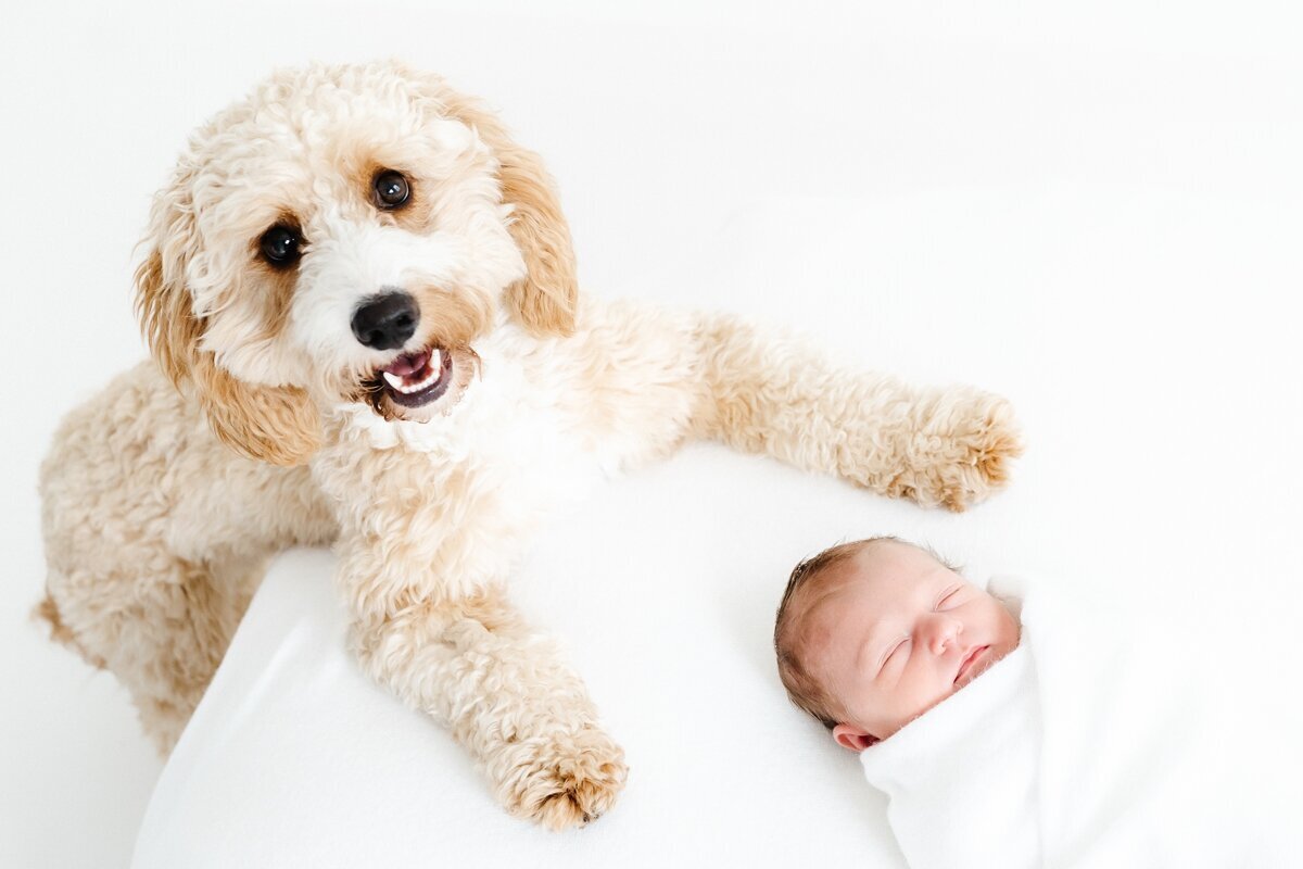 Isabelle-Newborn-75
