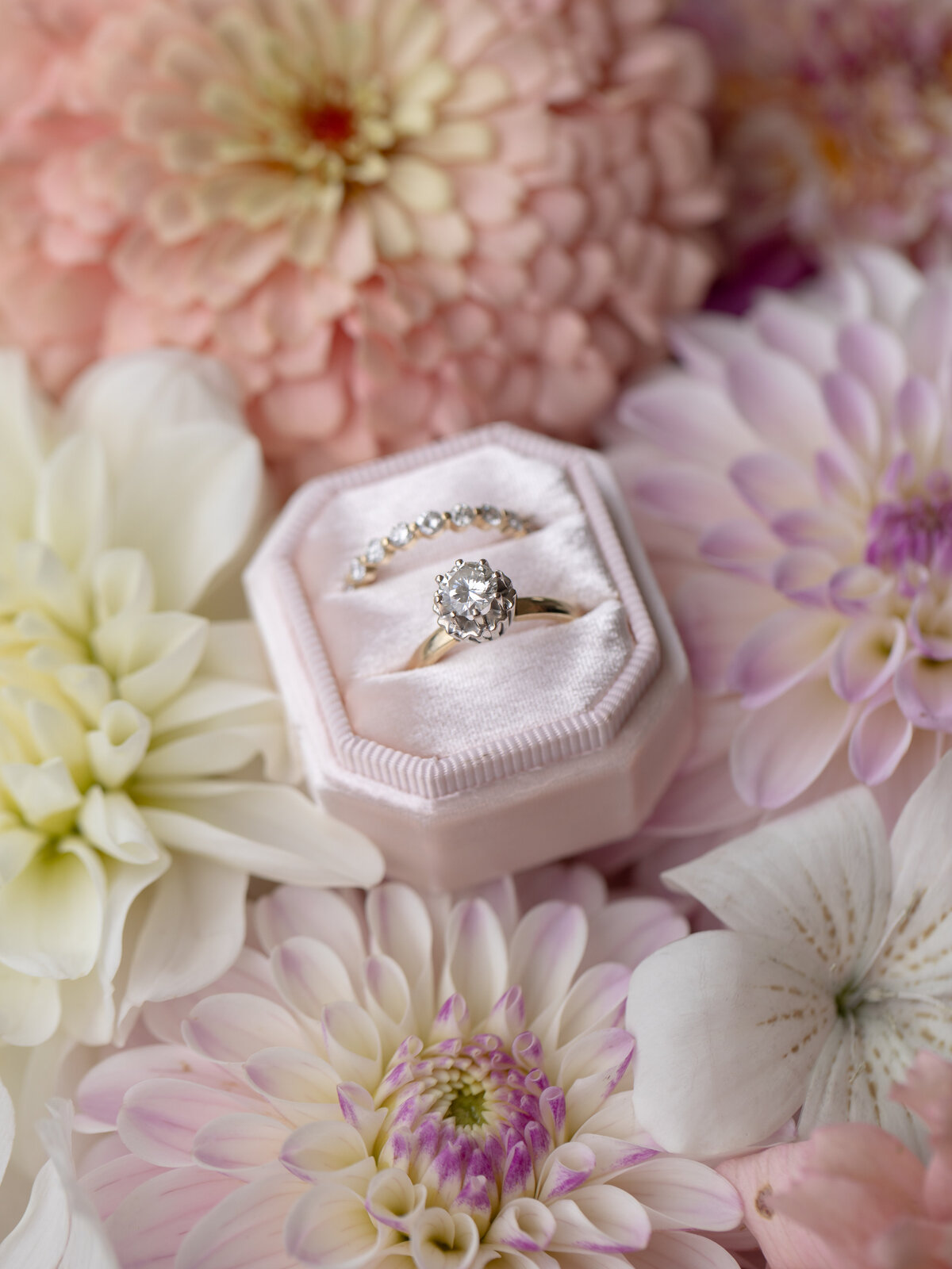 stefaniebendtphotography-12a