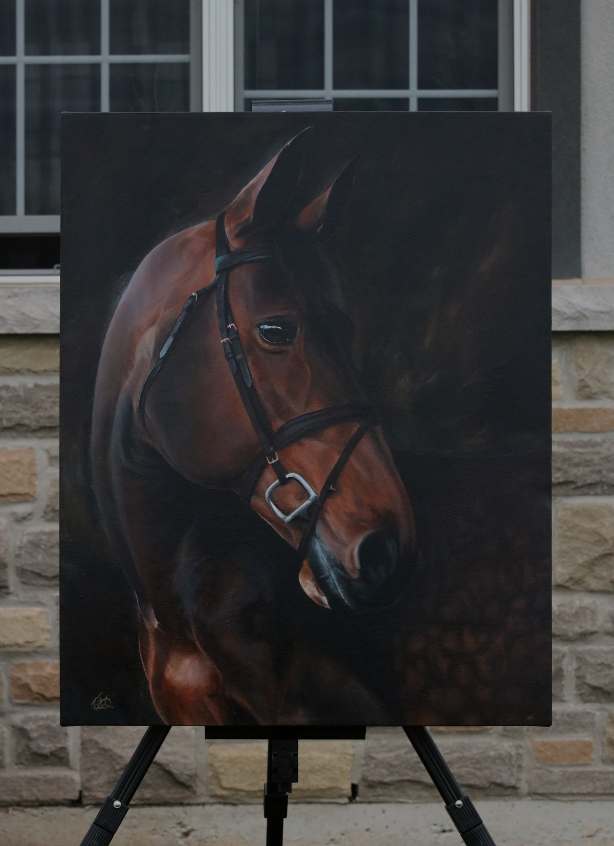 Do portrait 1
