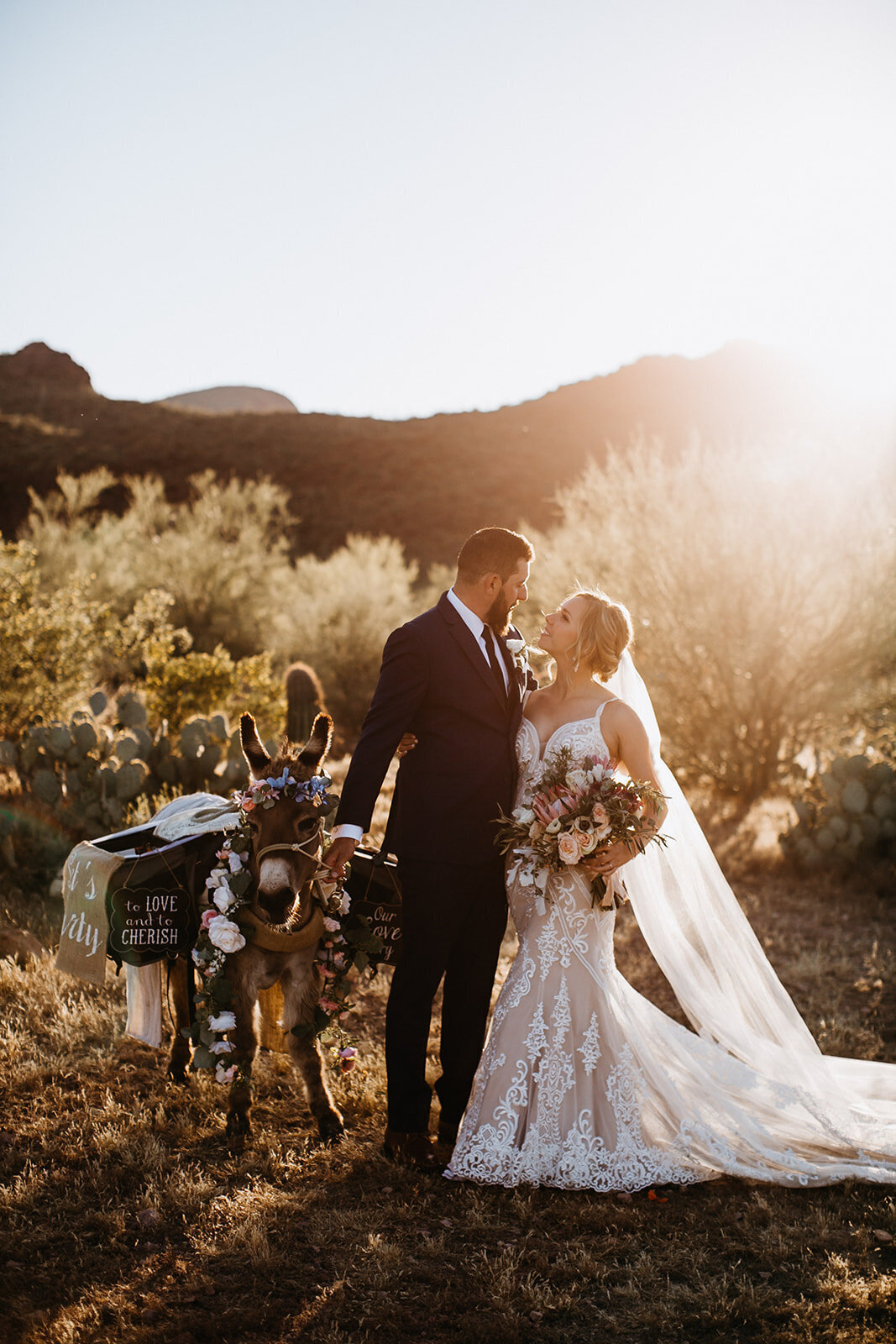 Liz+Osban+Photography+Wyoming+Wedding+Photographer+Colorado+Elopement+Iceland+Tucson+Arizona+Stardance+Event+Center+Phoenix+Wedding+Burros+Donkeys+Elope+Desrt+Rocky+Mountain+Bride+6