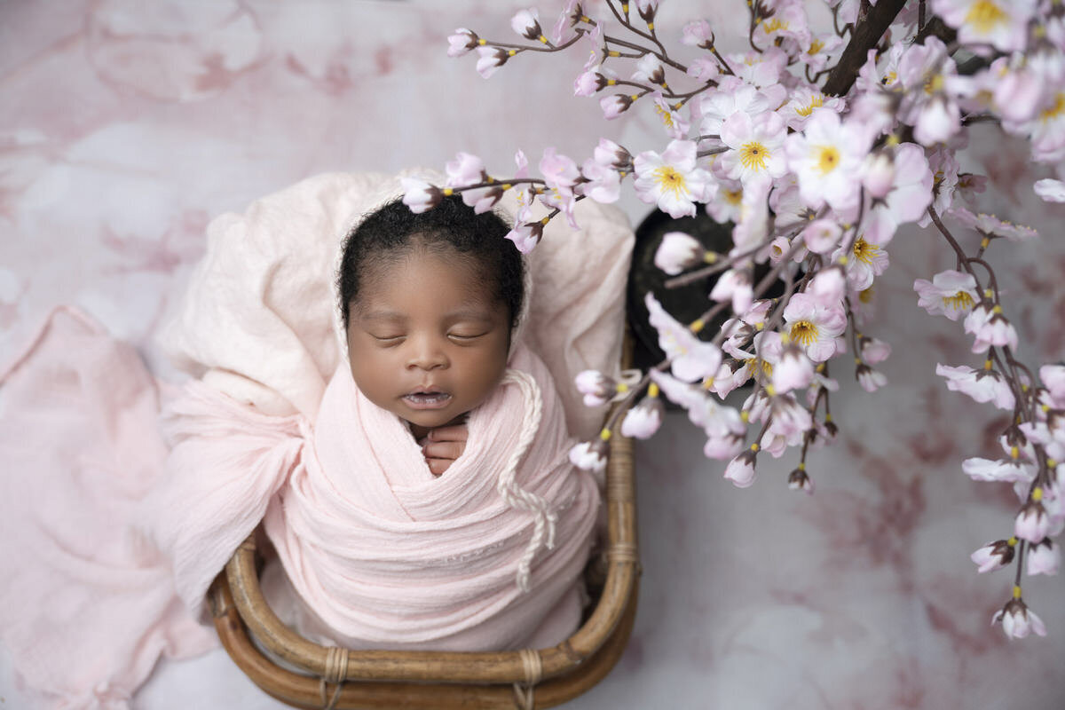 21 Charlotte fine art newborn photography
