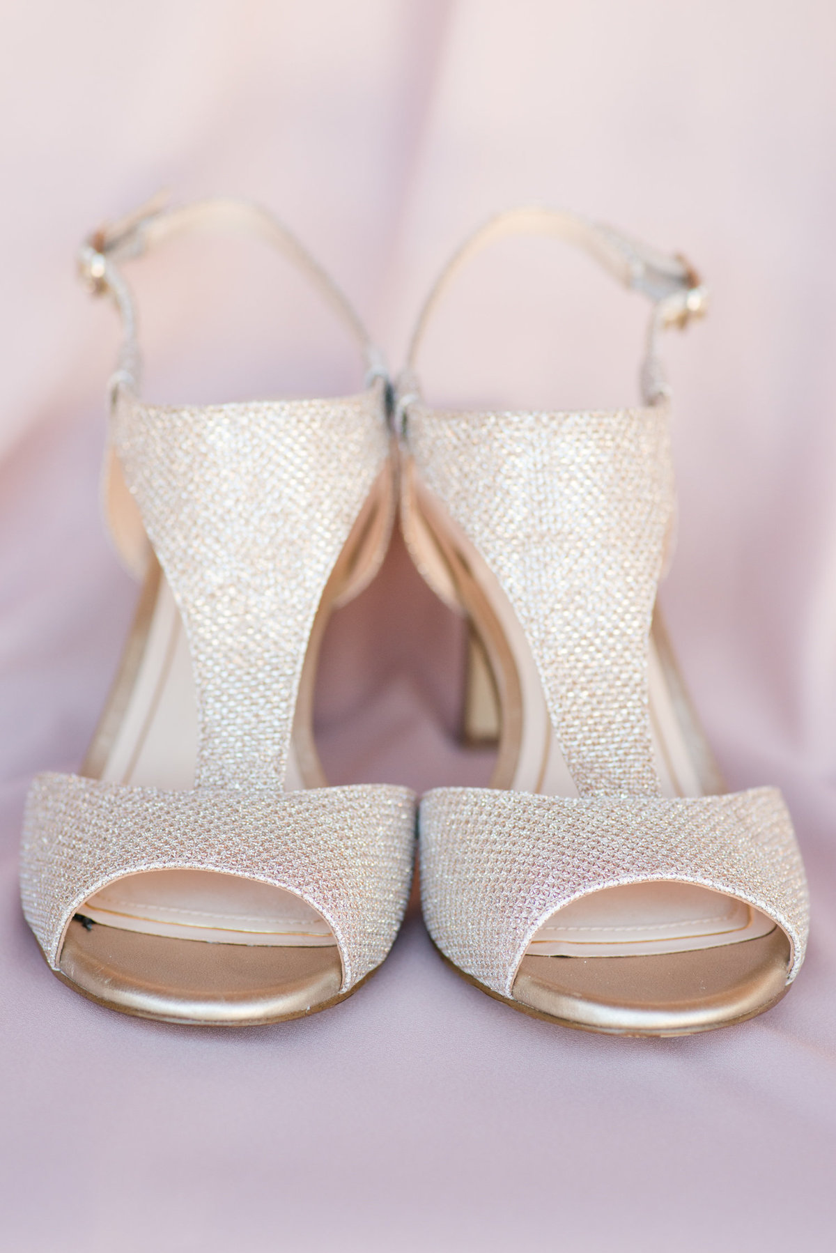 Blush Wedding at The Springs in Georgetown-1
