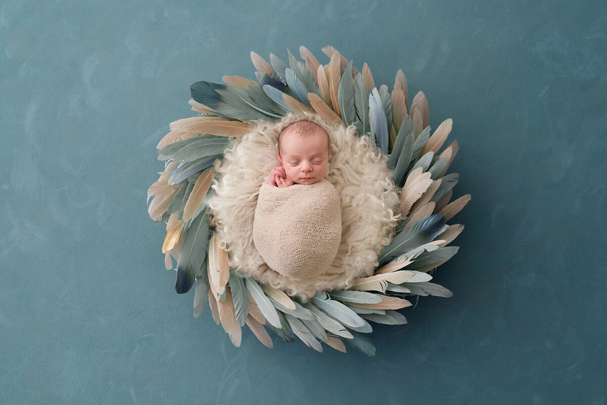 Newborn Photography in blue and beige feather by Laura King