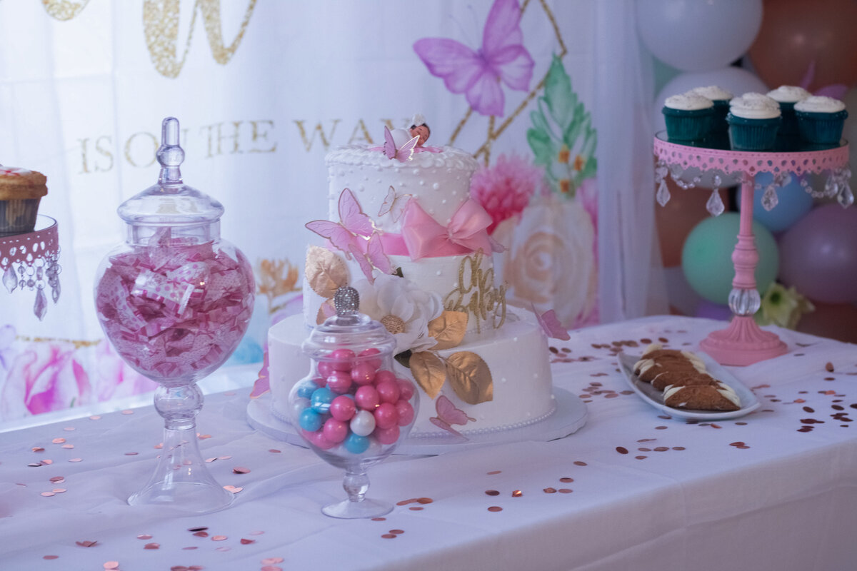 Butterfly Baby Shower theme Photos