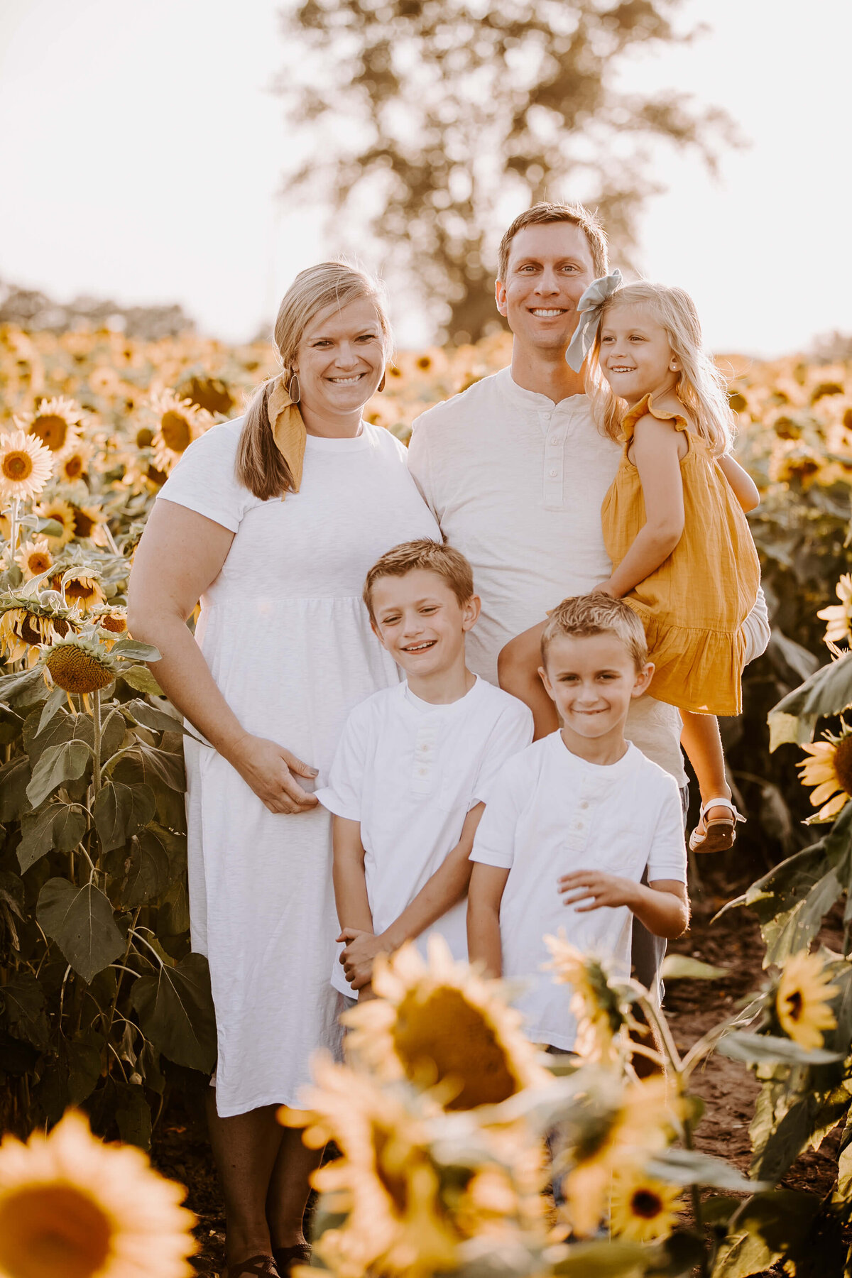 Sunflower-Field-Mini-Session-Family-Photography-Woodbury-Minnesota-Sigrid-Dabelstein-Photography-Thompson-2