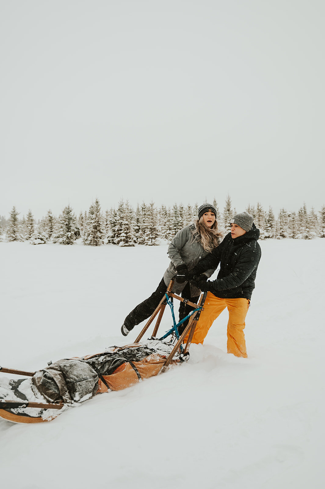 winter-montana-dog-sledding-proposal-presley-gray-photo-7454