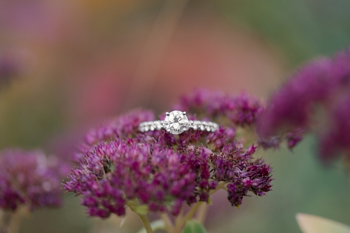 16_round-engagement-ring-sits on-purple-flower_1063