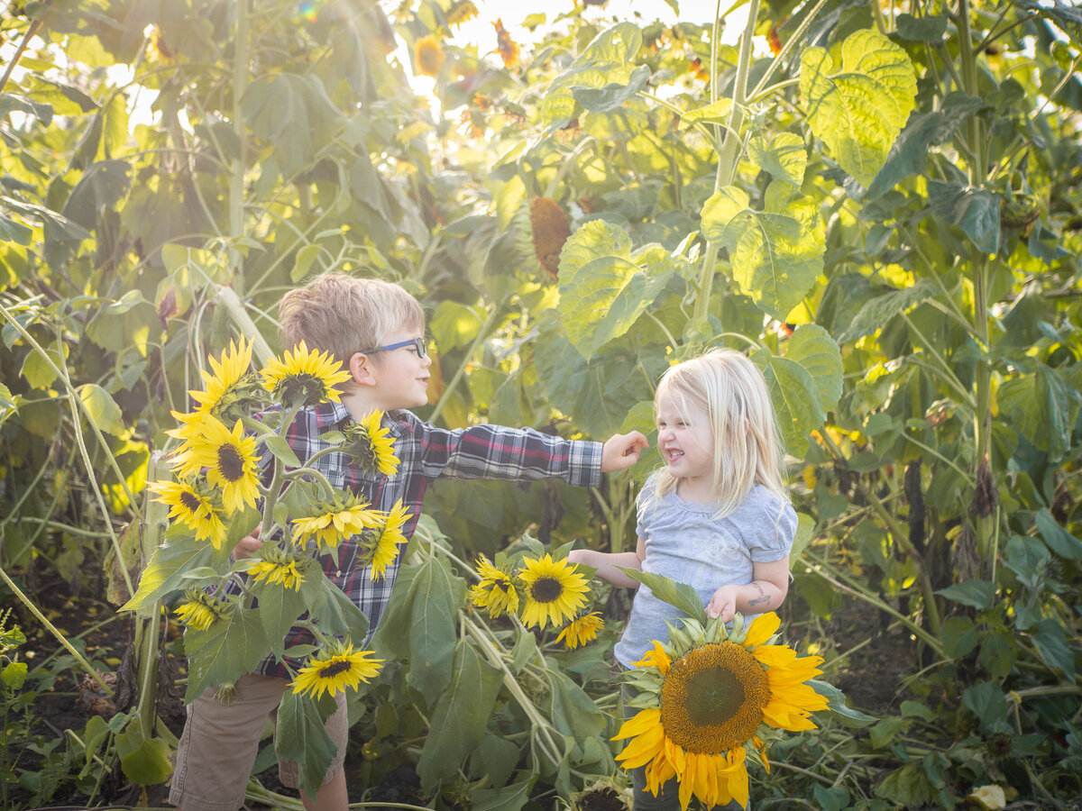 two children play togehter in a sunflower field in the PNW
