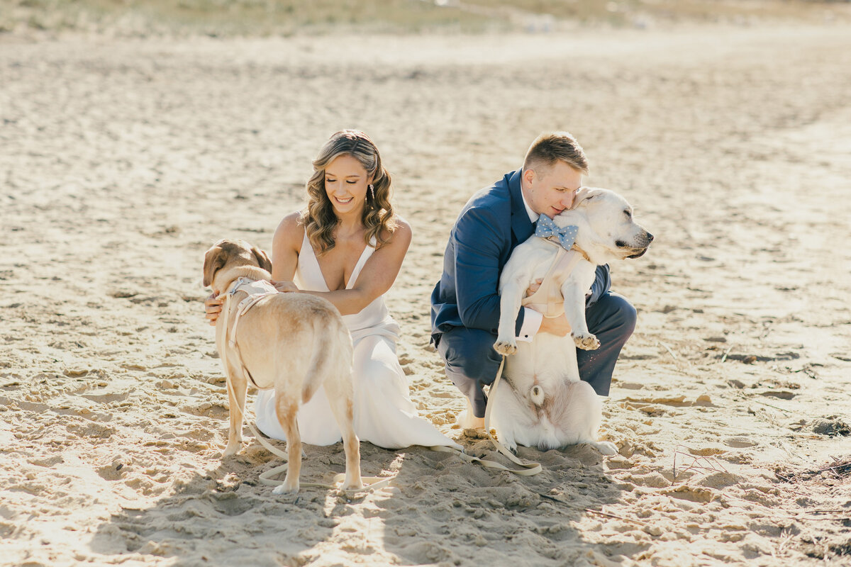 Kelsey & Dan_Wedding_Bride & Groom with Dogs-1031