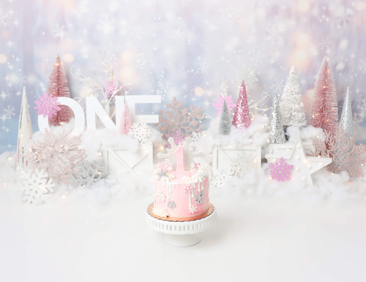 Custom cake smash photo session in Rochester, NY featuring a Winter Wonderland theme.