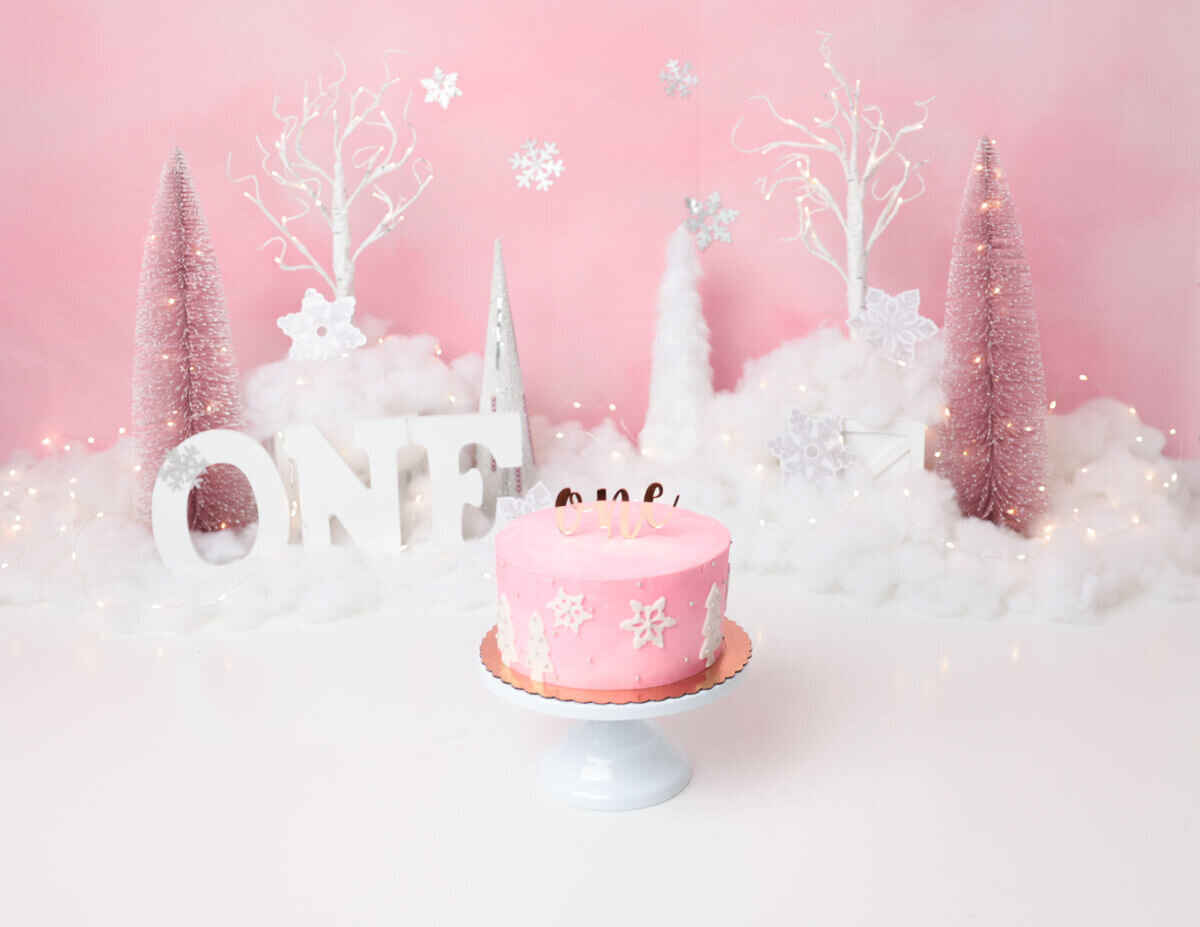 Celebrating a first birthday with a winter wonderland themed cake smash in Rochester, NY.