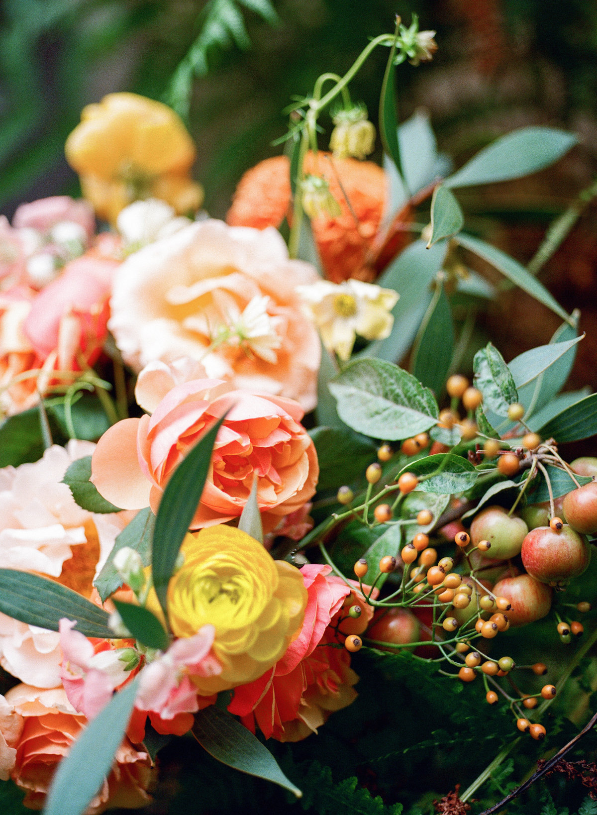 film photography of peach and yellow floral