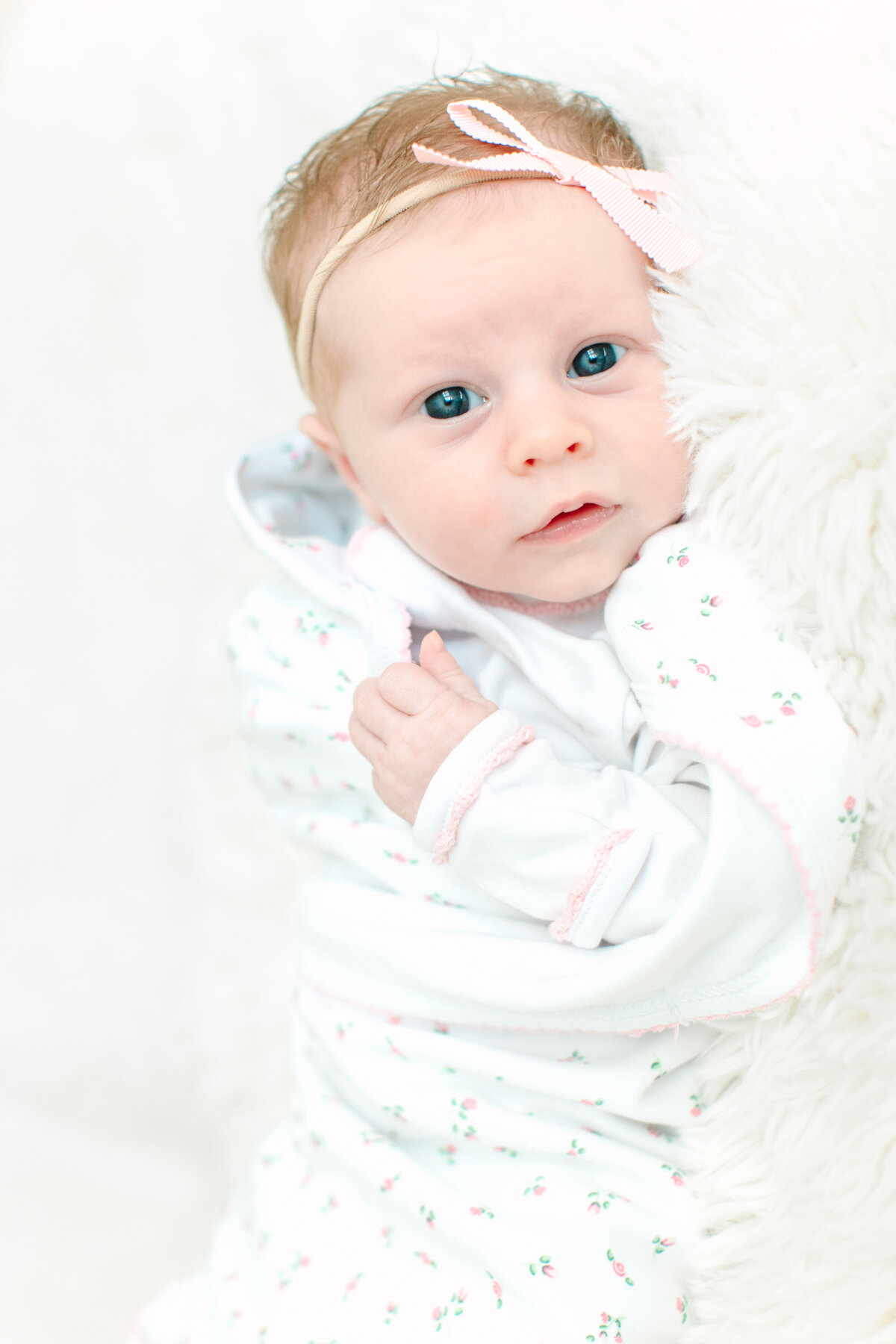 Baby Eloise  Shute Newborn-261