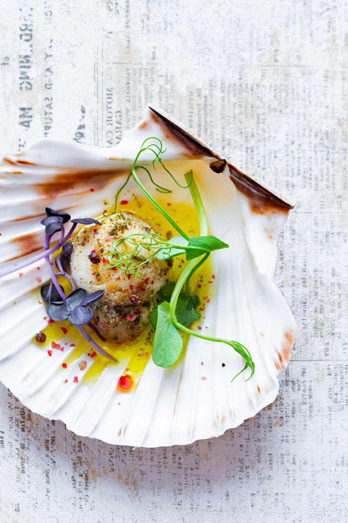 scallop in shell with pretty flowers