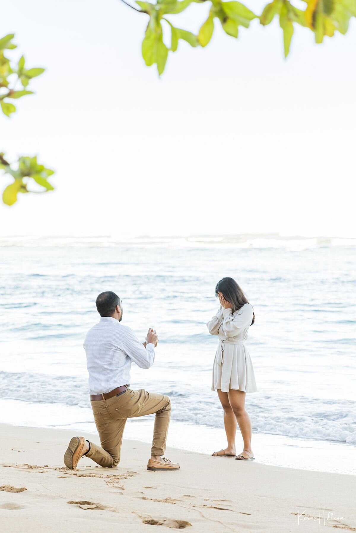 Kauai Proposal
