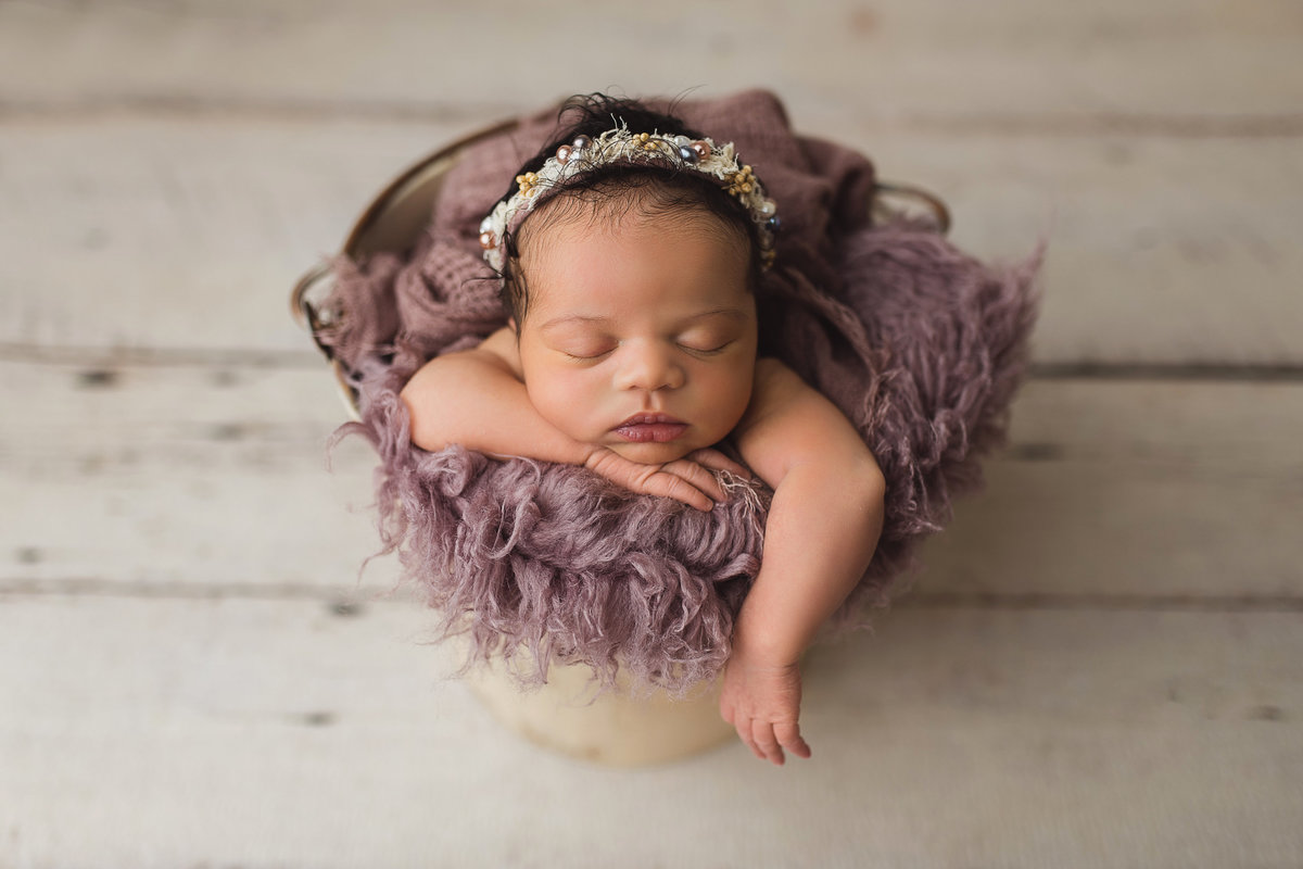 newborn girl in bucket with purple birmingham al photogrpahy studio lane weichman photography