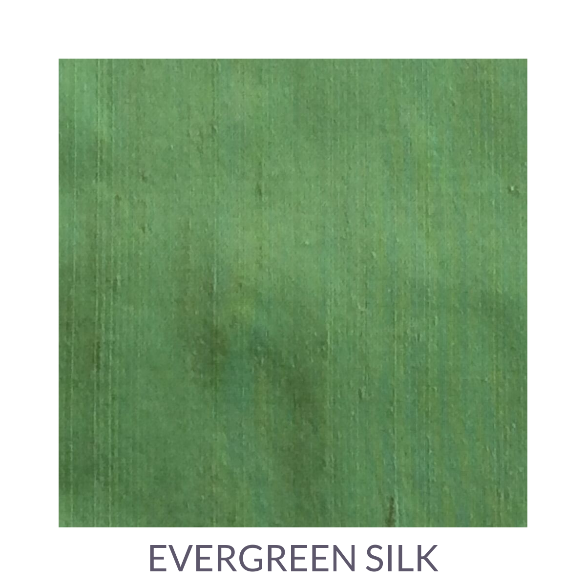 evergreen-silk