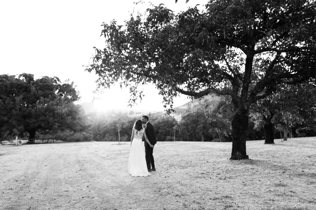 Wedding Celebration Photography Triple S Ranch Calistoga California Greer Rivera Photography Wedding Photos