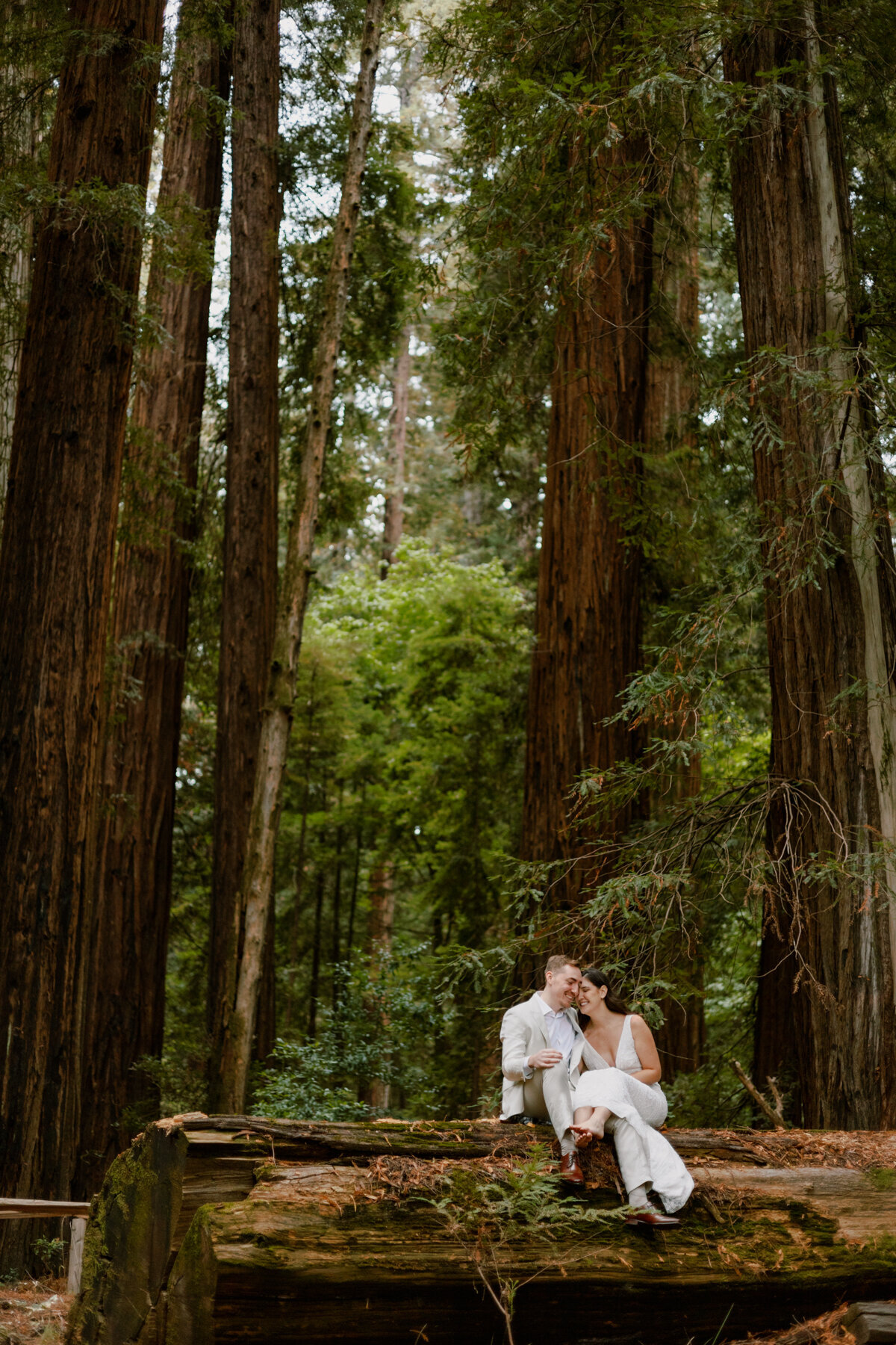 redwoods-california-elopement-3