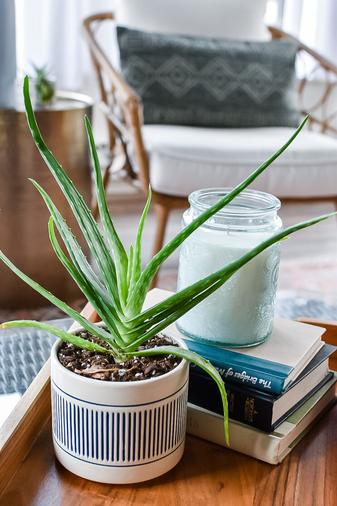 An aloe vera plant sits in a modern pot next to a candle on a coffee table