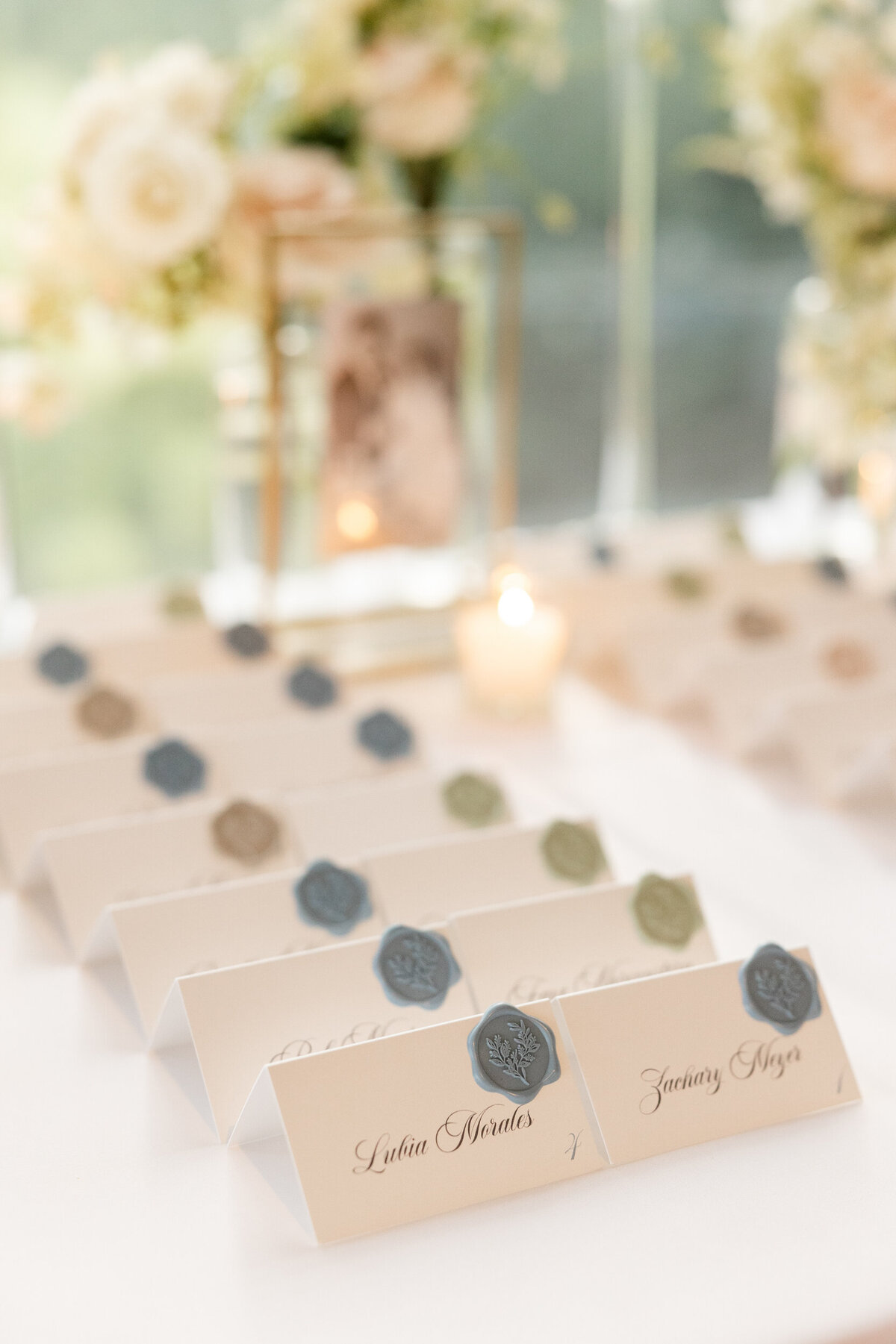 chicago-botanic-garden-wedding-summer-alex-ferreri--60