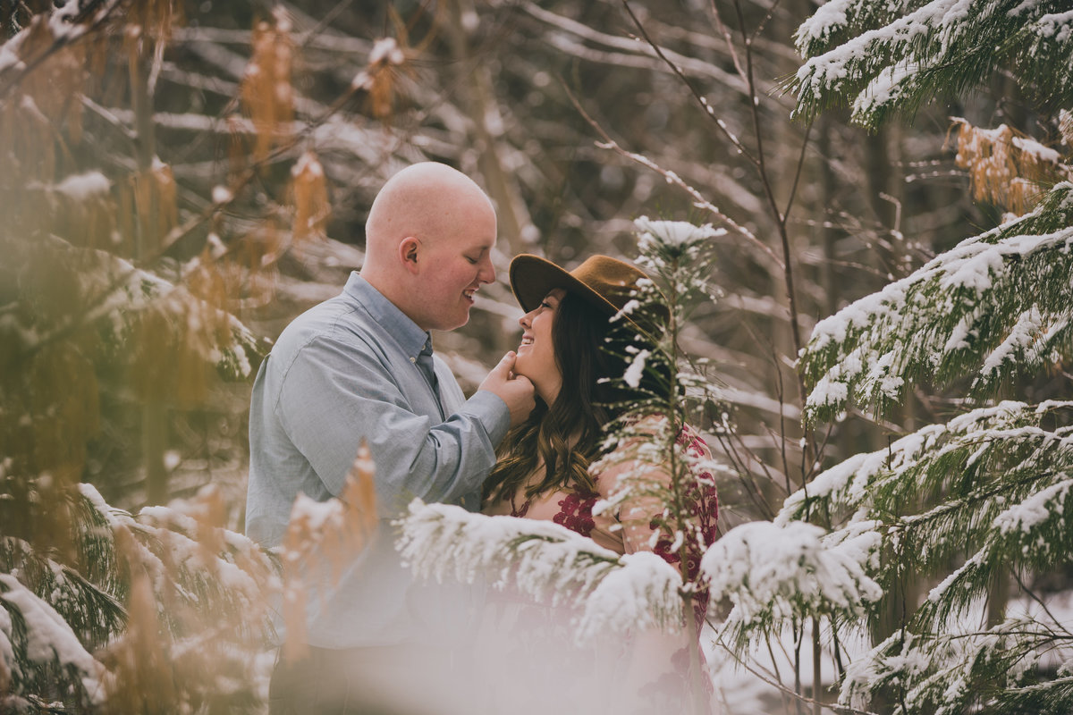 winter engagement in Cades Cove TN