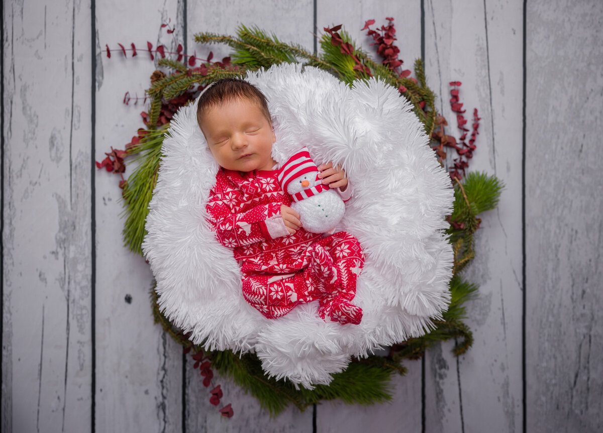 Posed studio newborn session in Phoenixville with Christmas theme
