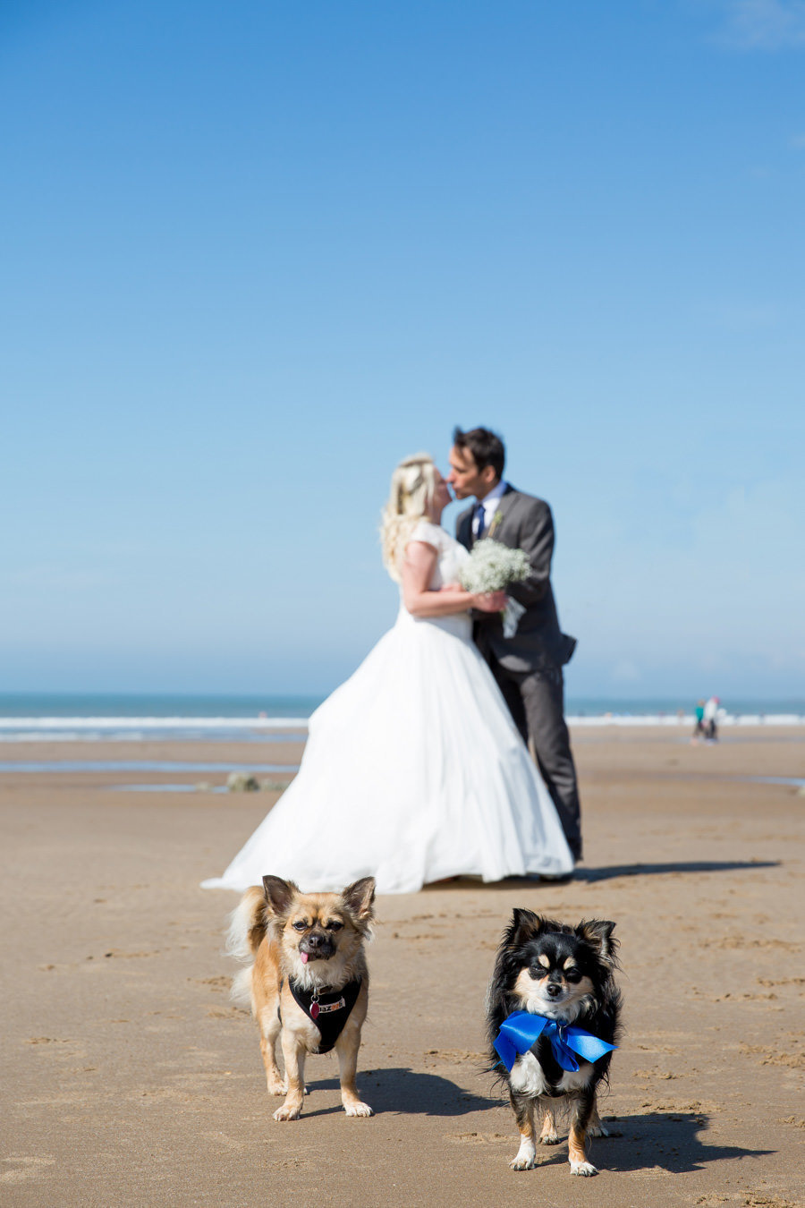 Couple on the beach with their dogs at Woolacombe Bay Hotel Devon