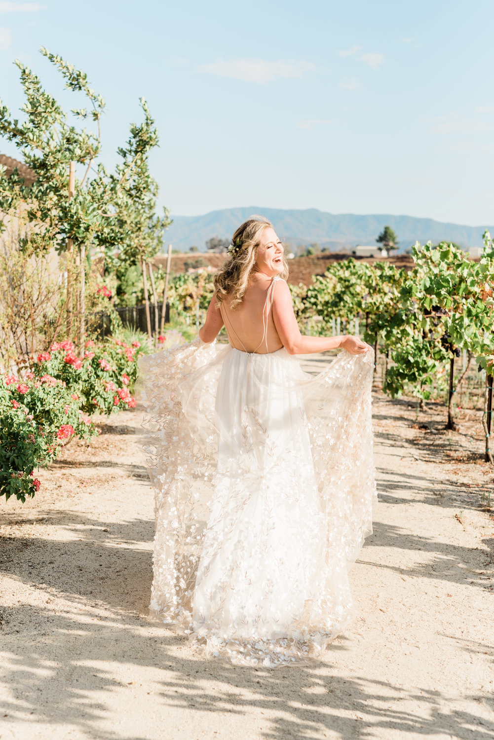 012_southern-california-wedding-photographer-temecula-avensole-winery-photo