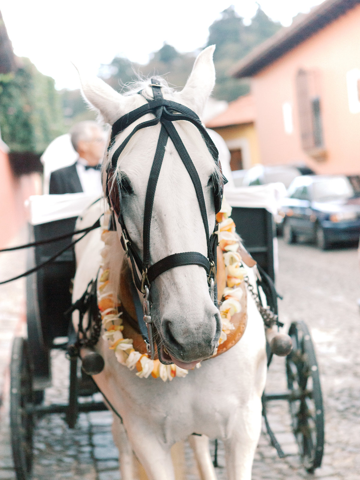 Destination Wedding Antigua Guatemala-1025