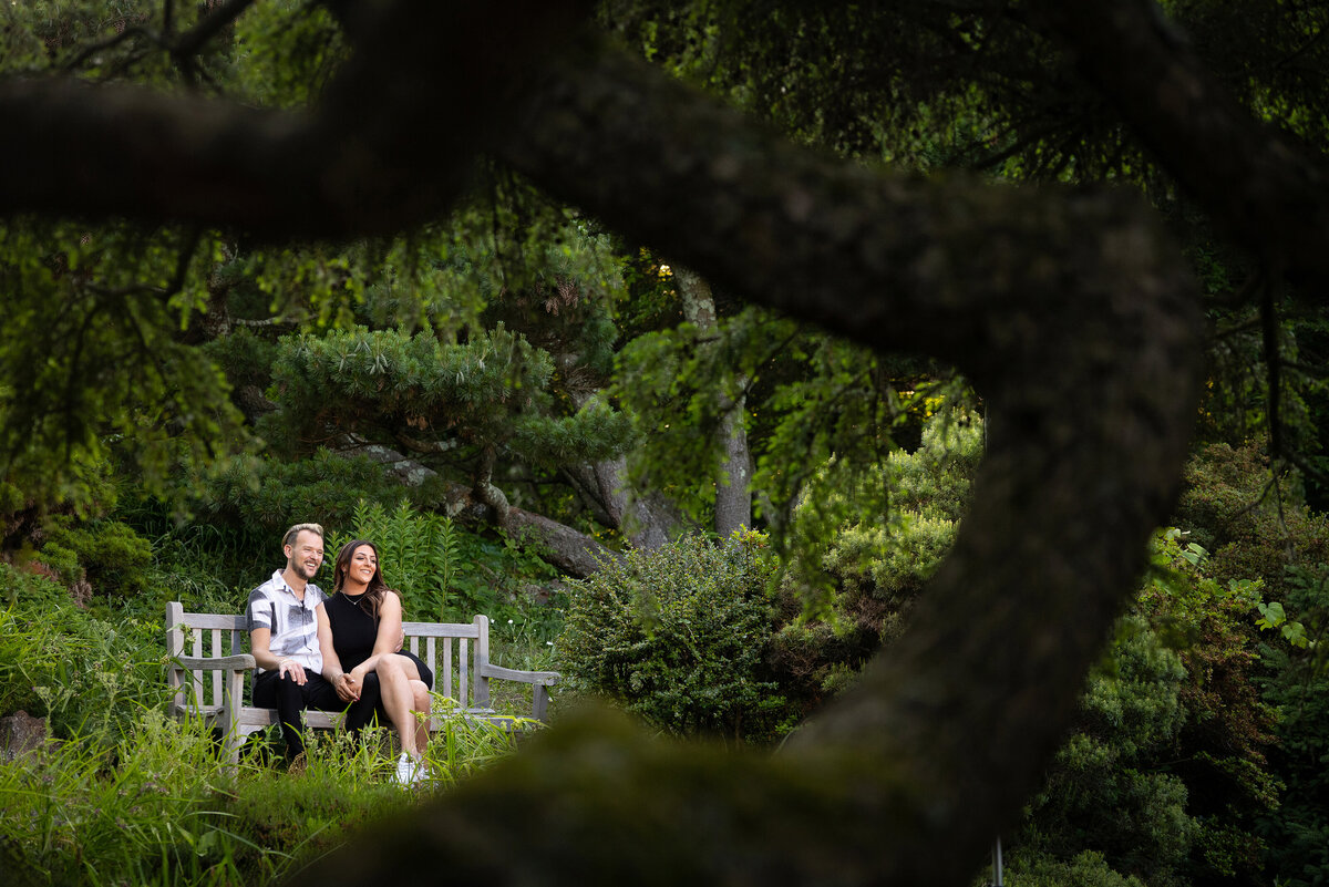 engagement-nature-tree-branch-sitting