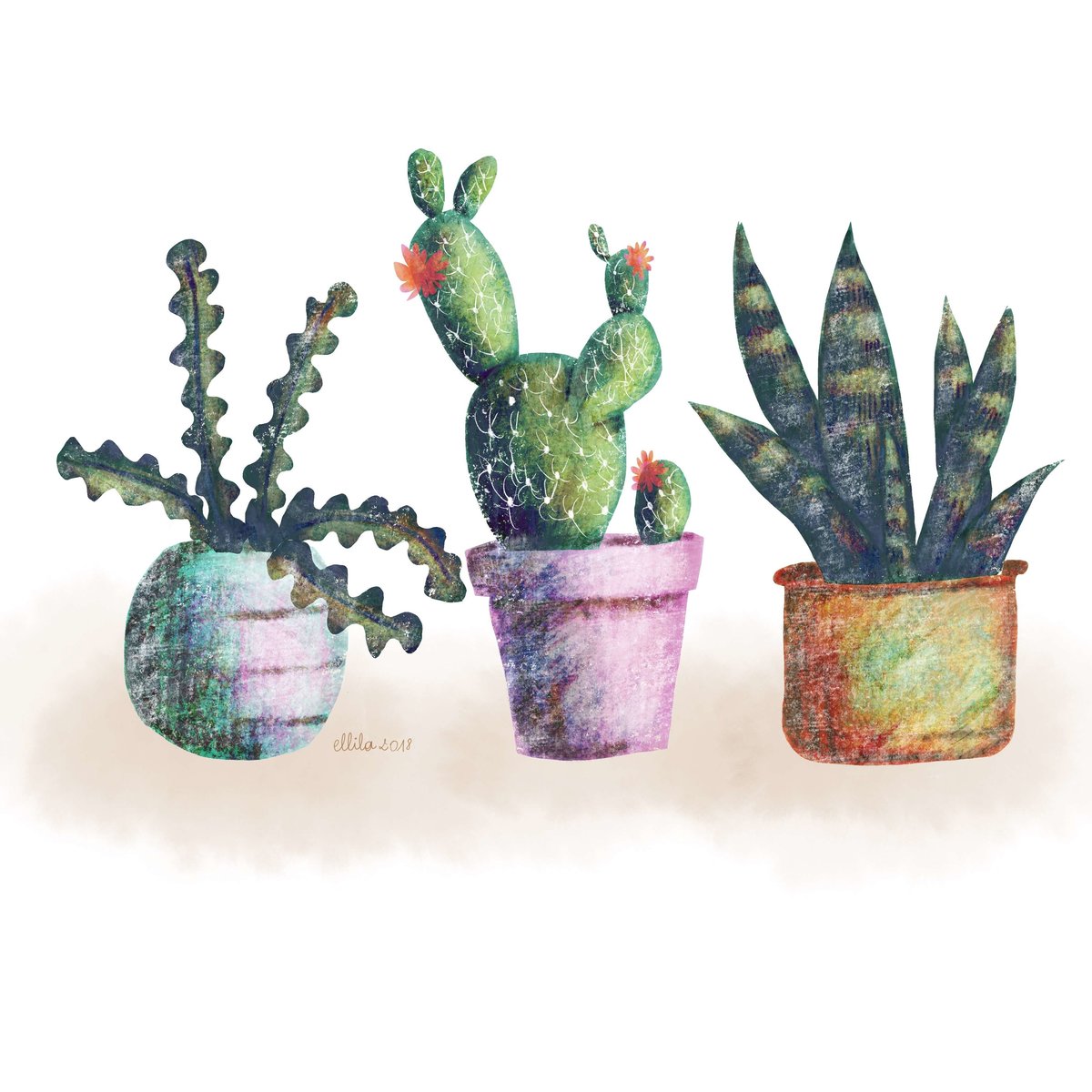 cacti illustration ellila designs