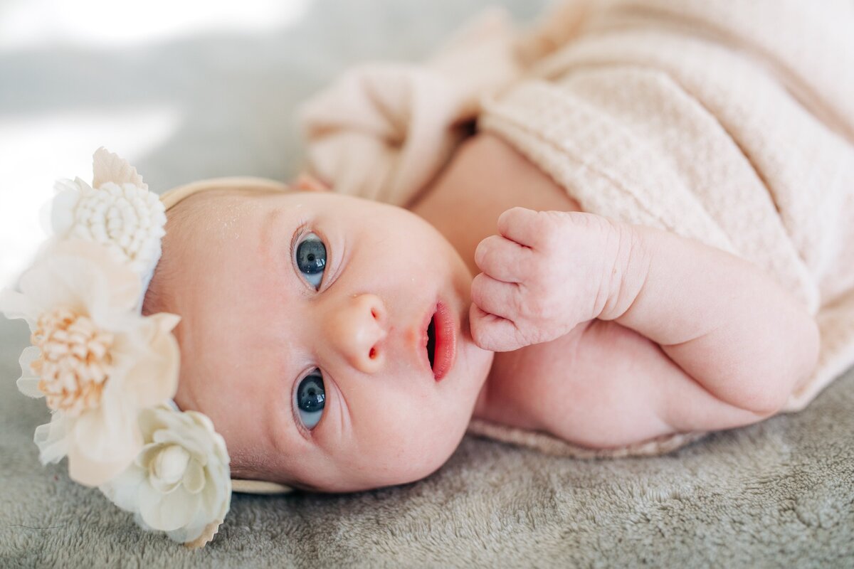 Newbornphotos3