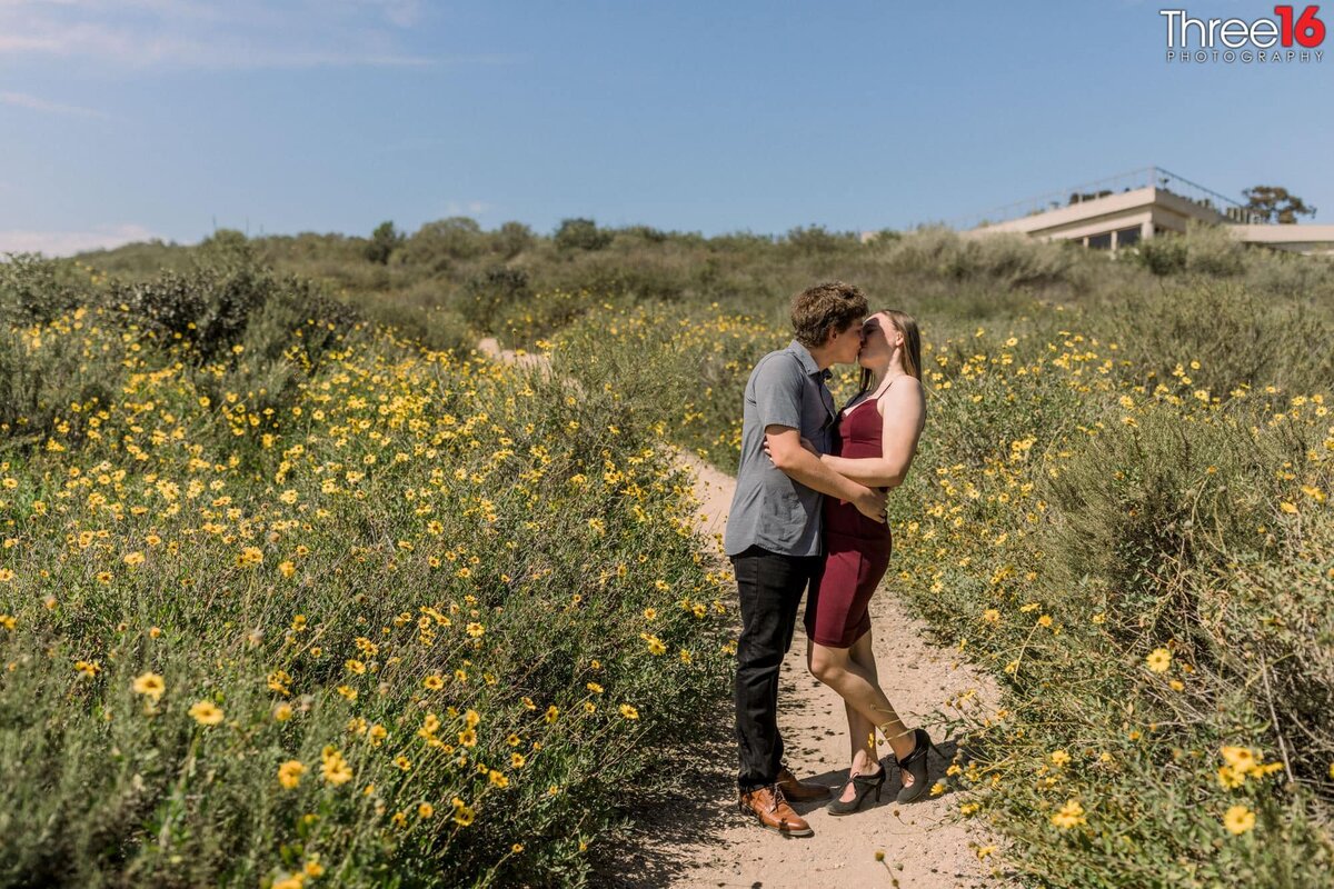 Engaged couple share a kiss amongst the wildflowers on a Upper Newport Bay Nature Preserve walking trail