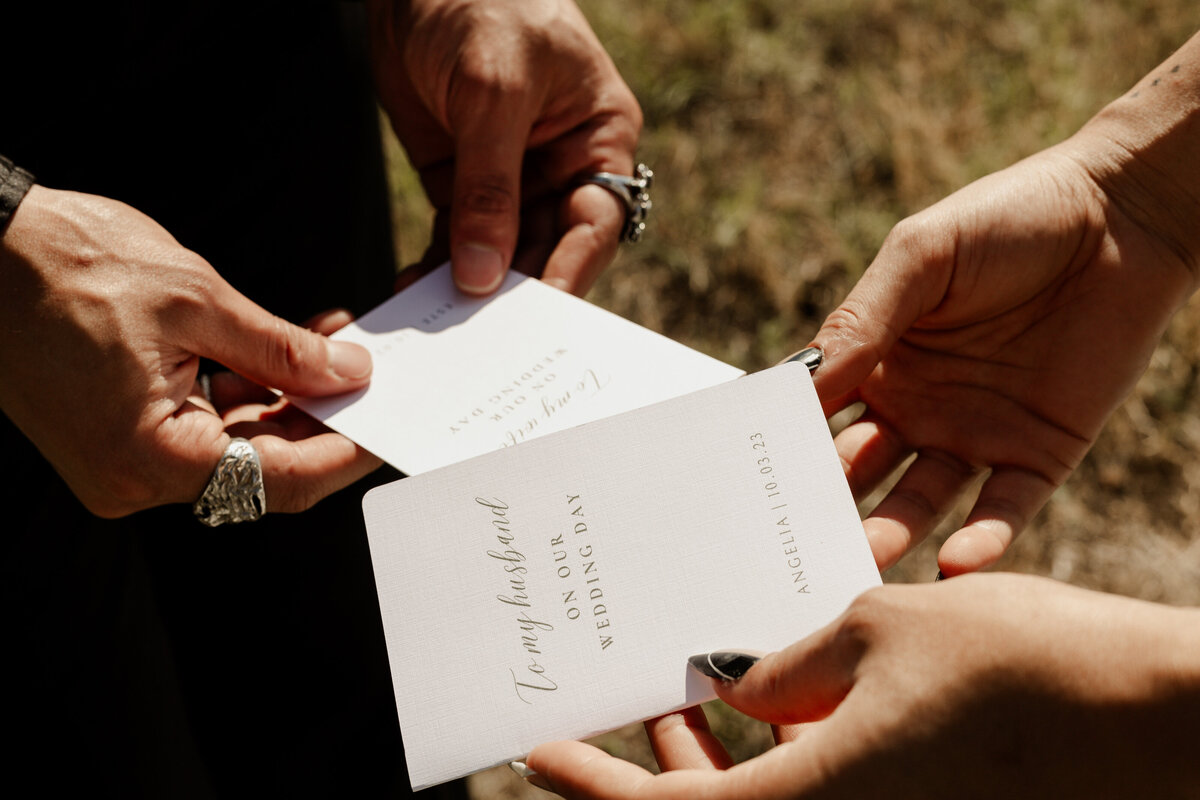 Aspen Colorado Elopement