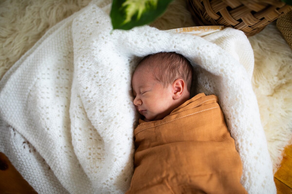 Studio-Newborn-Photos-Milwaukee