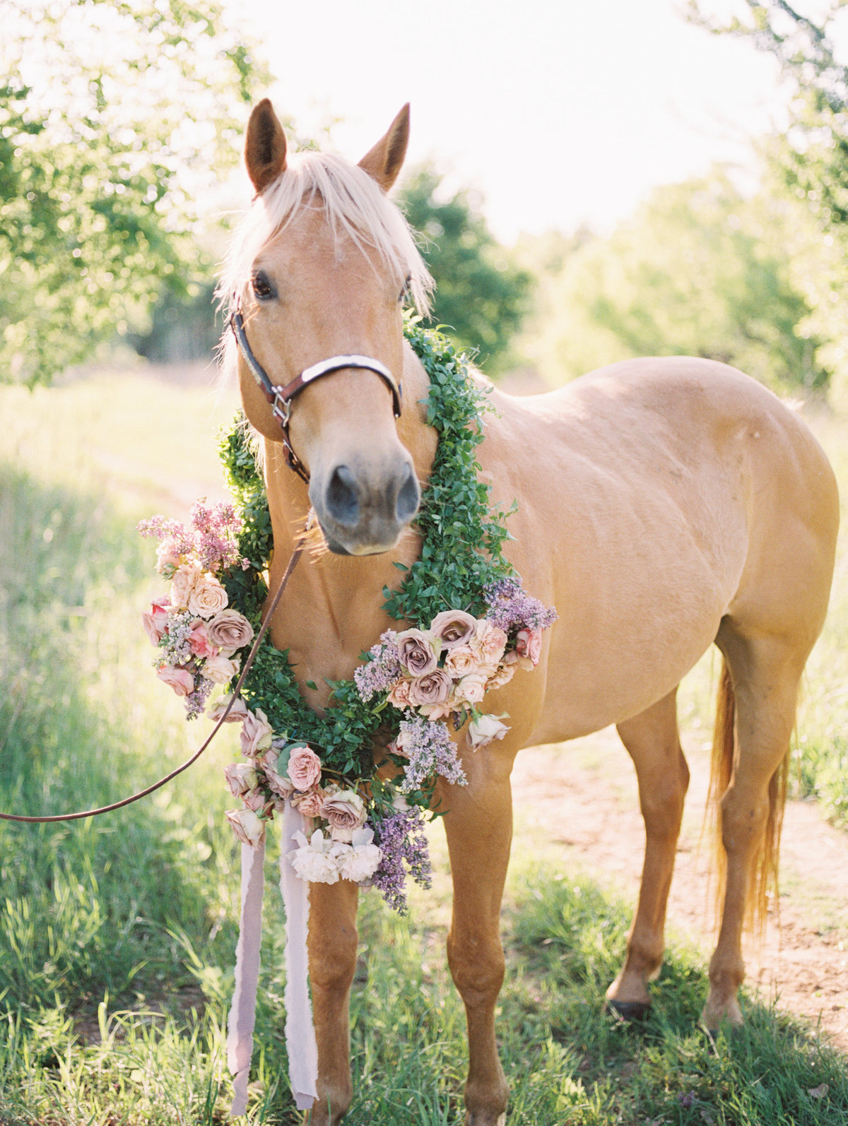 SarahVBridal400-www.katepease.com-12