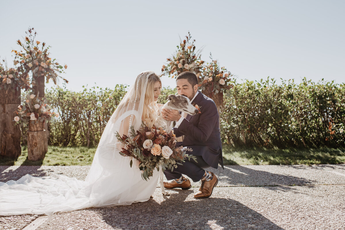 Photographers Jackson Hole capture bride and groom hugging dog