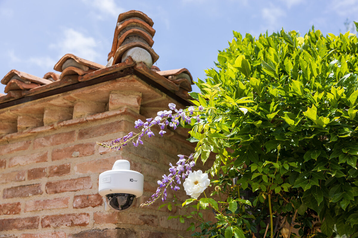 Audio Images June'25-255