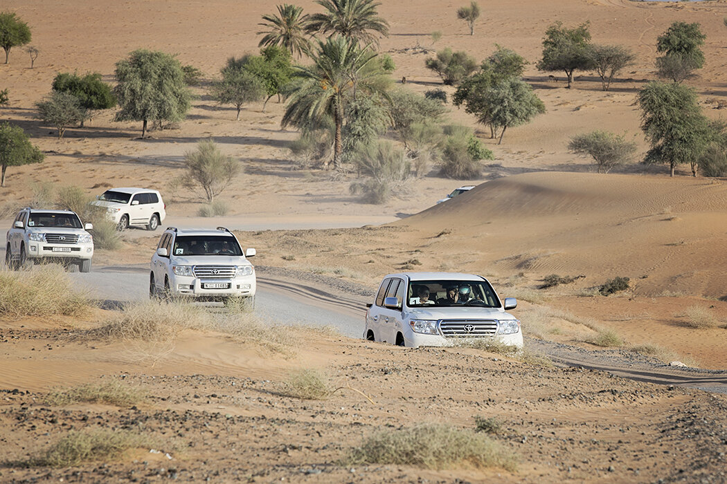 Luxury Destination Birthday Planner Dubai -caravan of cars  copy