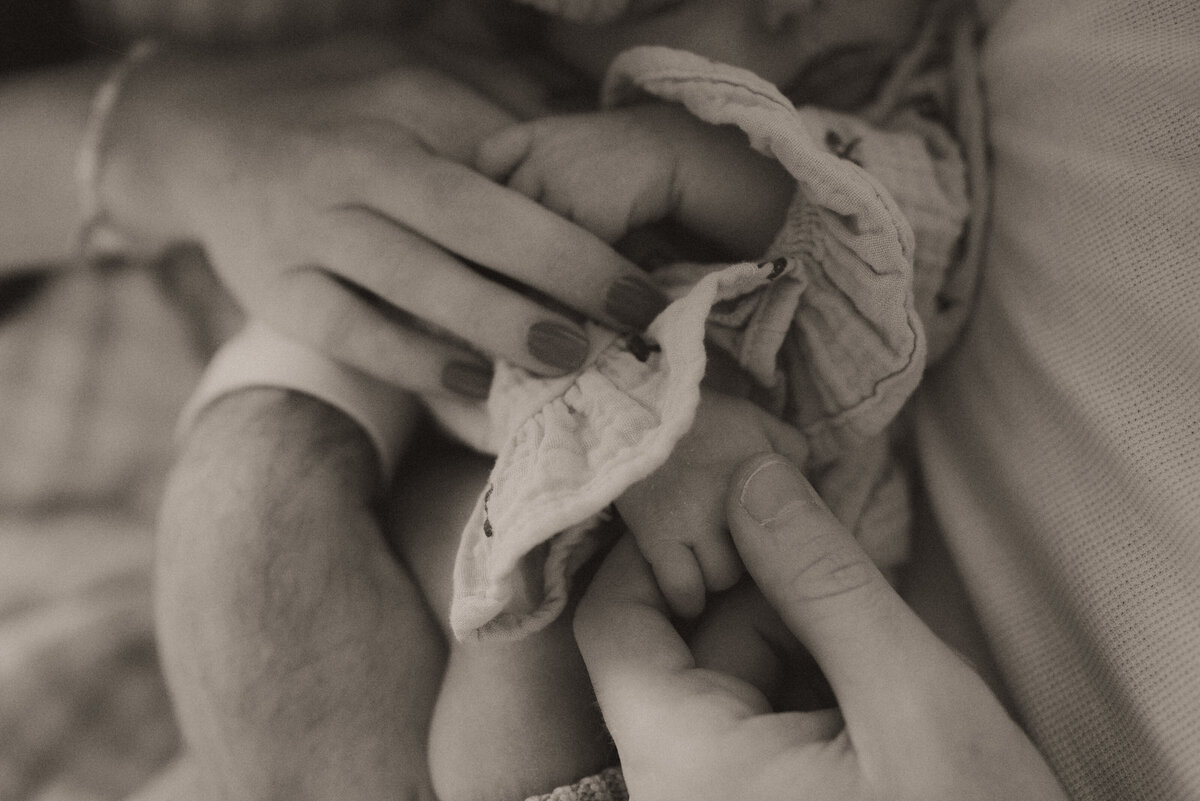 parker co newborn photographer