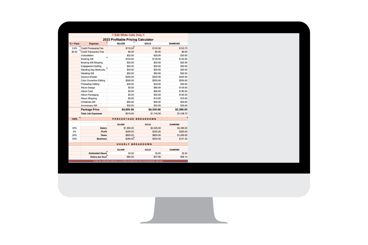 Profitable-Pricing-Services-Val-Marlene-Creative-Business-Spreadsheets-for-Creatives (4)
