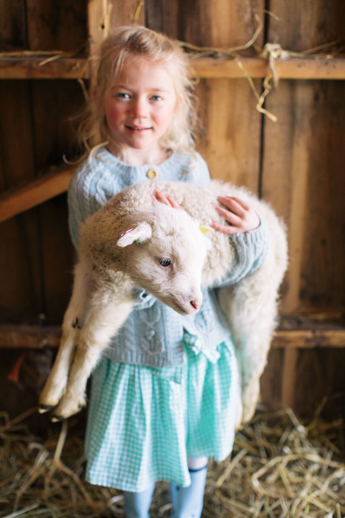 child holding a lamb by New Hampshire based family photographer