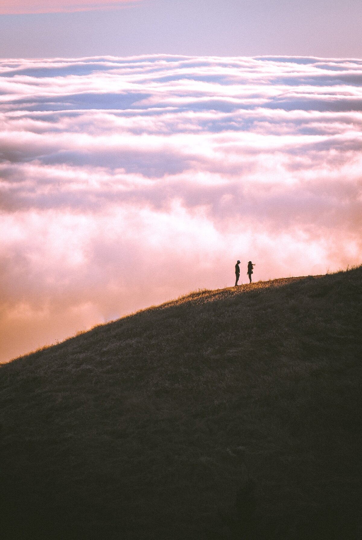 casey-horner-758407-unsplash