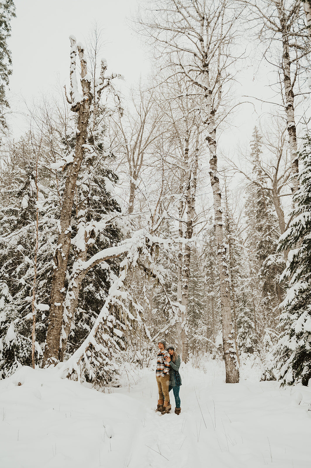 winter-montana-dog-sledding-proposal-presley-gray-photo-7909