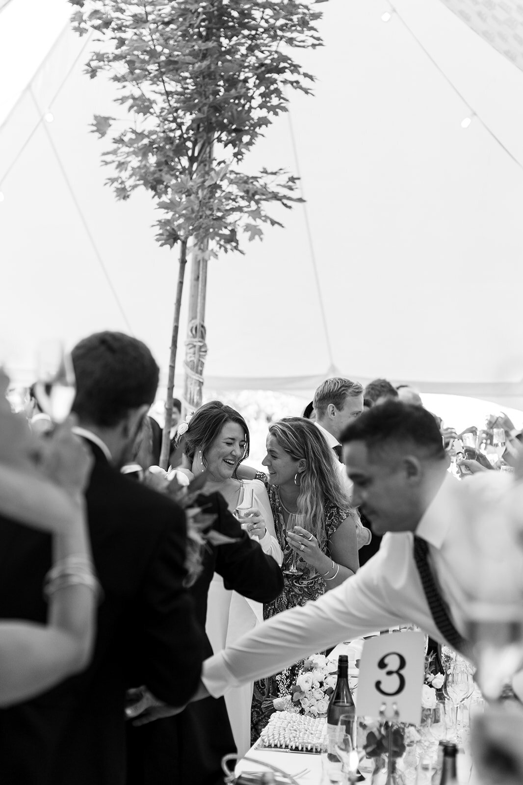 suffolk-wedding-photographer-marqueewedding2-115