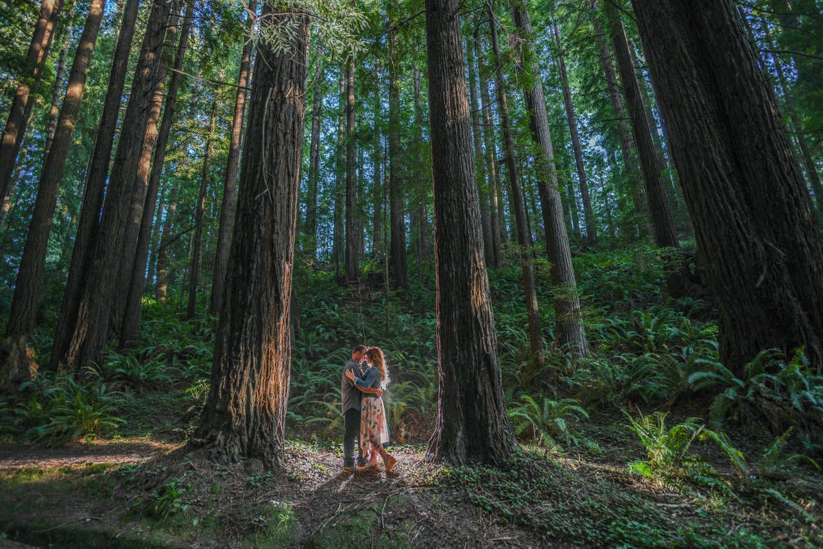 Redway-California-engagement-photographer-Parky's-Pics-Photography-Humboldt-County-redwoods-Avenue-of-the-Giants-Humboldt-Redwoods-State-Park-engagement-12.jpg
